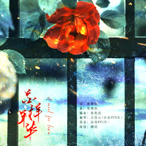 花样年华