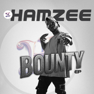 hamzee - Calamity