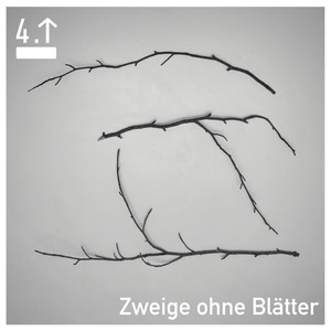Zweige ohne Blätter