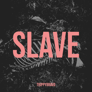 Slave (Explicit)