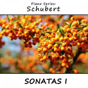 Piano Series: Schubert