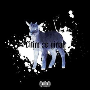 Citim se yinak (feat. FAE TESTER) [Explicit]