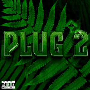 PLUG 2 (Explicit)