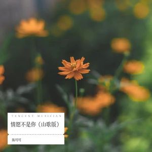 情愿不是你 (山歌版)