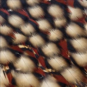 WHEN WE DIE (Explicit)