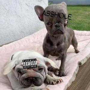 ASSHOLE (Explicit)