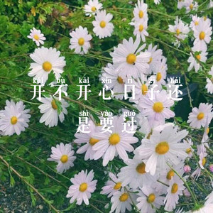 预谋 DJ枪声版 (Remix)