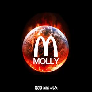 MOLLYWORLD (Explicit)