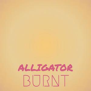 Alligator Burnt