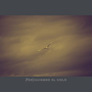 Persiguiendo el Cielo