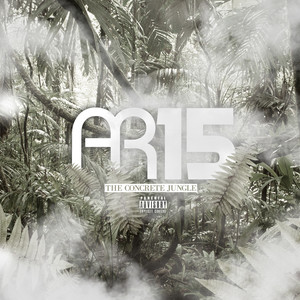 AR15 - Concrete Jungle