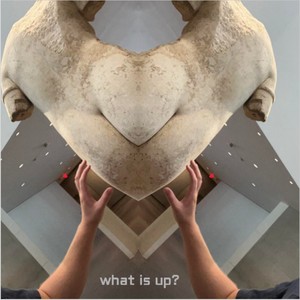 What Is Up? (Explicit)