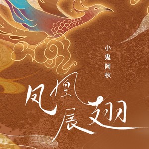 凤凰展翅 (DJ版)封面