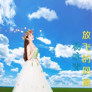 放飞的凤凰