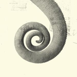 Proč mi nikdo nevěří (Explicit)