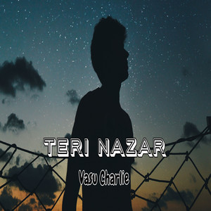 Teri Nazar