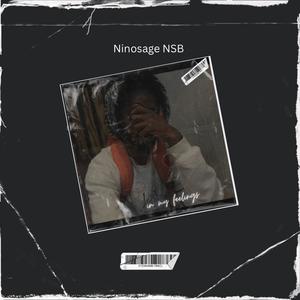 In my feelings (Explicit)