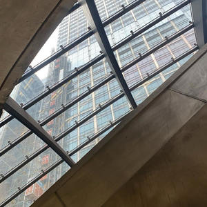 danced in the rain (Explicit)