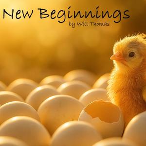 New Beginnings