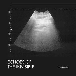 Evelina Clair - Prelude to the Imperceptible