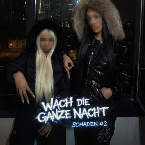 Schaden #2 (WACH DIE GANZE NACHT) (feat. N1G1 & OHNINE) (Explicit)