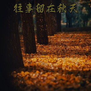 往事留在秋天
