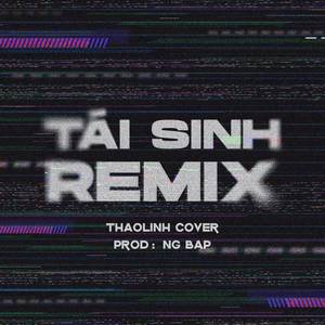 Tái Sinh Remix (thaolinh Cover)