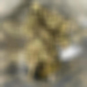 Kush Koma (Explicit)