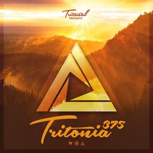Clearer Now (Tritonia 375)