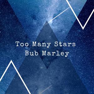 Too Many Stars (Explicit)