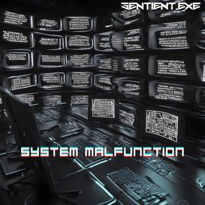 SYSTEM MALFUNCTION
