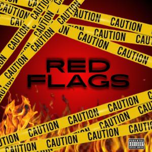 RED FLAGS (Explicit)