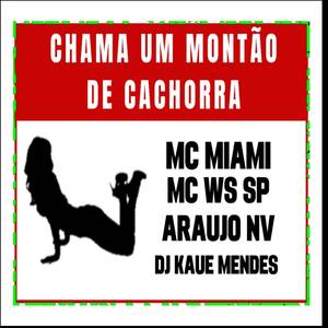 Montão de Cachorra (Explicit)