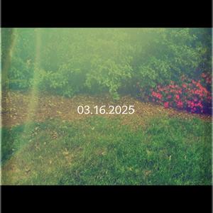 03.16.2025 Freestyle (Prod By Tablez) (feat. JcReator) (Explicit)