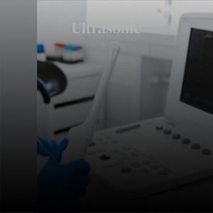 Ultrasonic