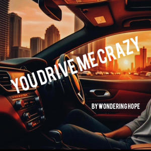 You Drive Me Crazy
