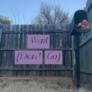 Wait(Don't Go)