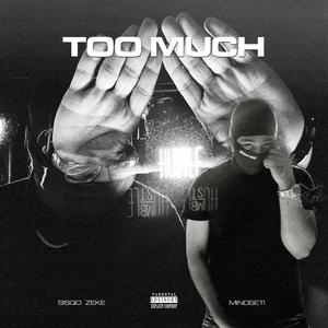 Too Much (Explicit)