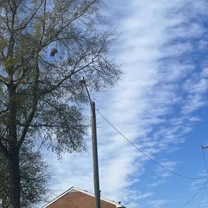 Life is Pain (Explicit)