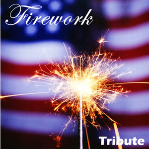 Firework(Salute to Katy Perry)