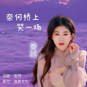 奈何桥上哭一场封面