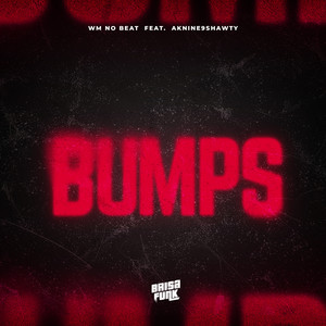 Bumps (feat. aknine9shawty) (Explicit)