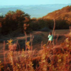 **** List (Explicit)