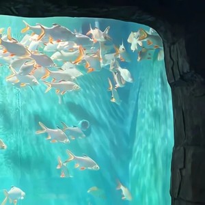 光年之外(唢呐旋律)