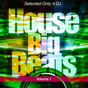 House Big Beats, Vol. 1