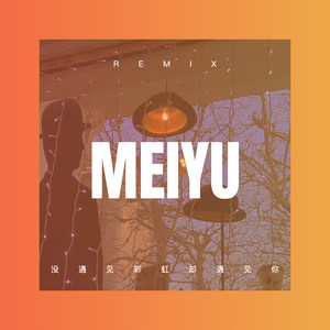 天边的骆驼 (DJ版)