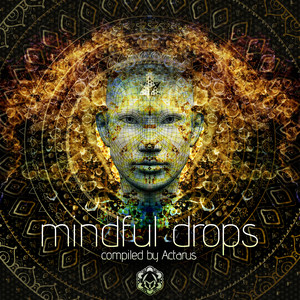 Mindful Drops