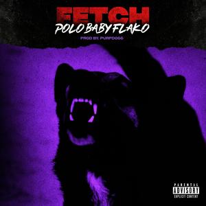FETCH (feat. Purpdogg) (Explicit)