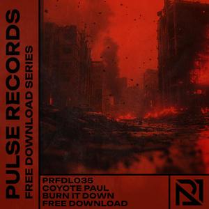 Burn It Down (feat. Coyote Paul)