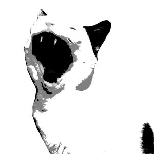 Meta horizons (feat. Breadman44) (Explicit)